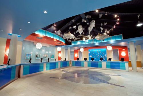 Dolphin Cay Reception