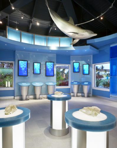 Dolphin Cay